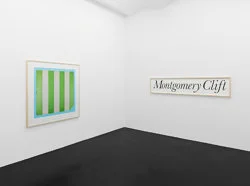 Larry Johnson - Galerie Köln 2026 — Larry Johnson — Exhibitions — Galerie Buchholz — Image 41