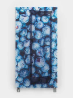 Soft and Bouncy — Gili Tal — Exhibitions — Galerie Buchholz — Image 48