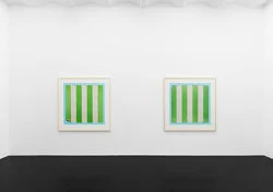 Larry Johnson - Galerie Köln 2026 — Larry Johnson — Exhibitions — Galerie Buchholz — Image 25