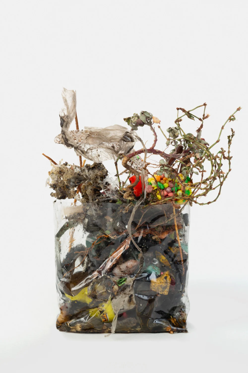Zip 01-01-2024 12-31-2024 — Yuji Agematsu — Exhibitions — Galerie Buchholz — Image 11