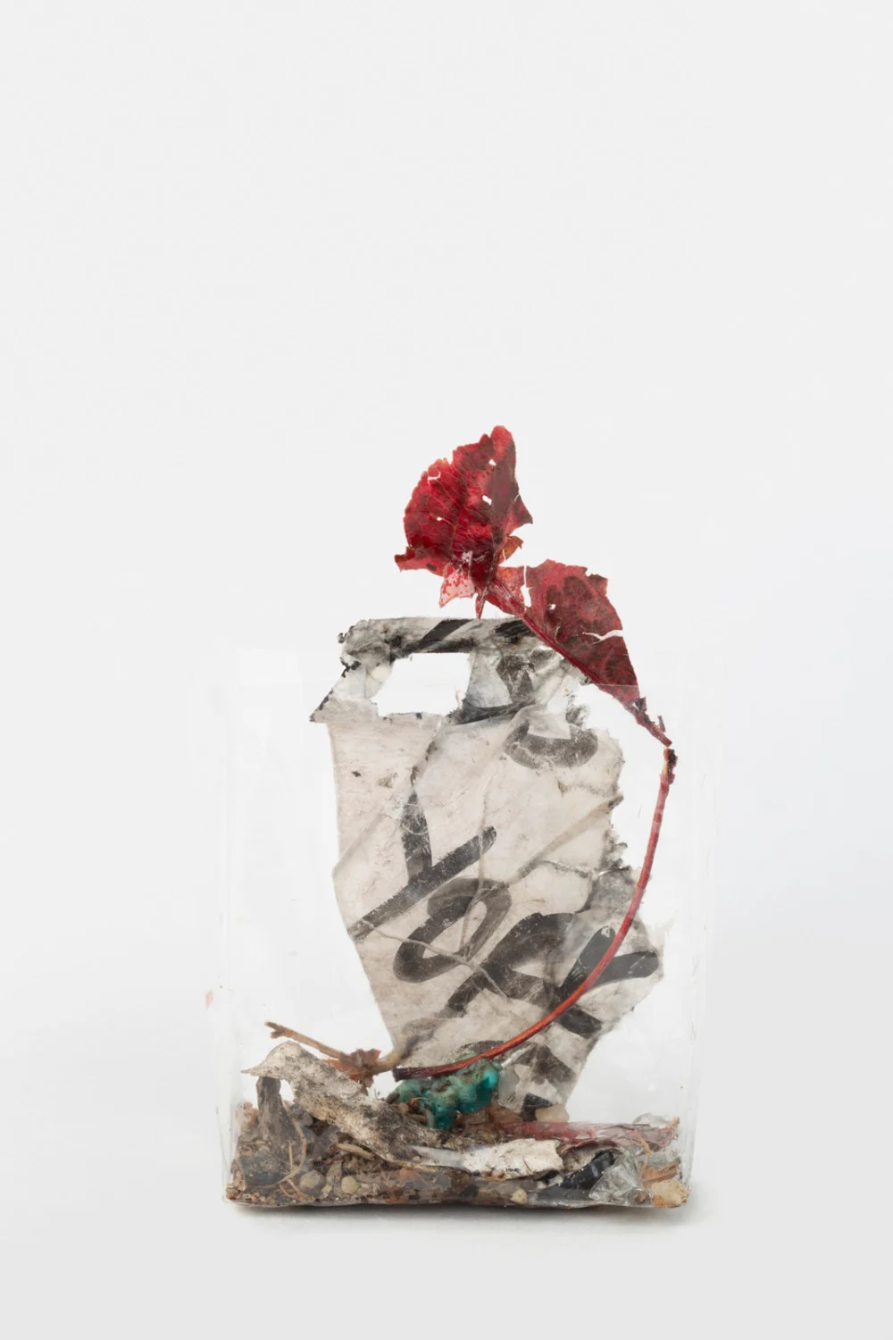 Zip 01-01-2024 12-31-2024 — Yuji Agematsu — Exhibitions — Galerie Buchholz — Image 18