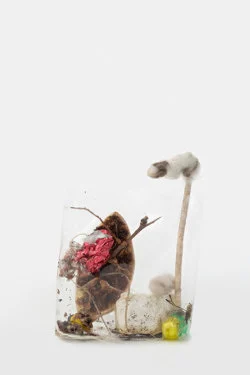 Zip 01-01-2024 12-31-2024 — Yuji Agematsu — Exhibitions — Galerie Buchholz — Image 105