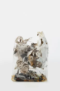 Zip 01-01-2024 12-31-2024 — Yuji Agematsu — Exhibitions — Galerie Buchholz — Image 148