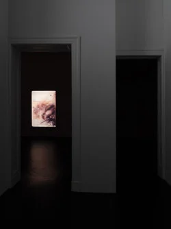 Marseille 1994 — Yuji Agematsu — Exhibitions — Galerie Buchholz — Image 32