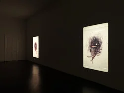 Marseille 1994 — Yuji Agematsu — Exhibitions — Galerie Buchholz — Image 37