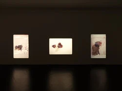 Marseille 1994 — Yuji Agematsu — Exhibitions — Galerie Buchholz — Image 40