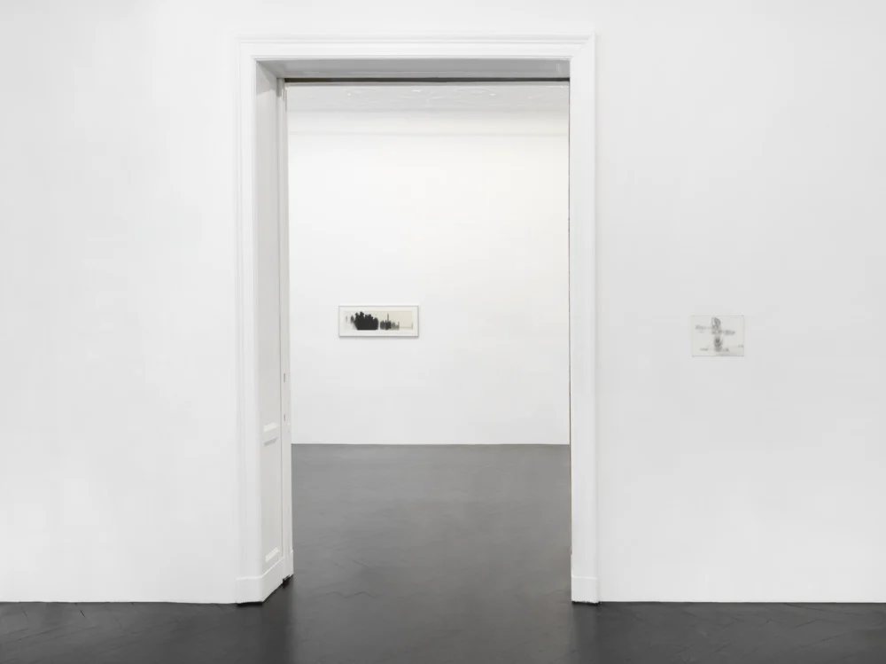Si quelque chose noir — Alix Cléo Roubaud — Exhibitions — Galerie Buchholz — Image 00