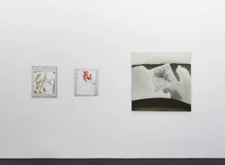 Songs of New York — Jutta Koether — Exhibitions — Galerie Buchholz — Image 107